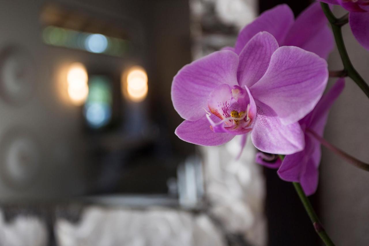 Moya Safari Villa Hoedspruit Eksteriør billede